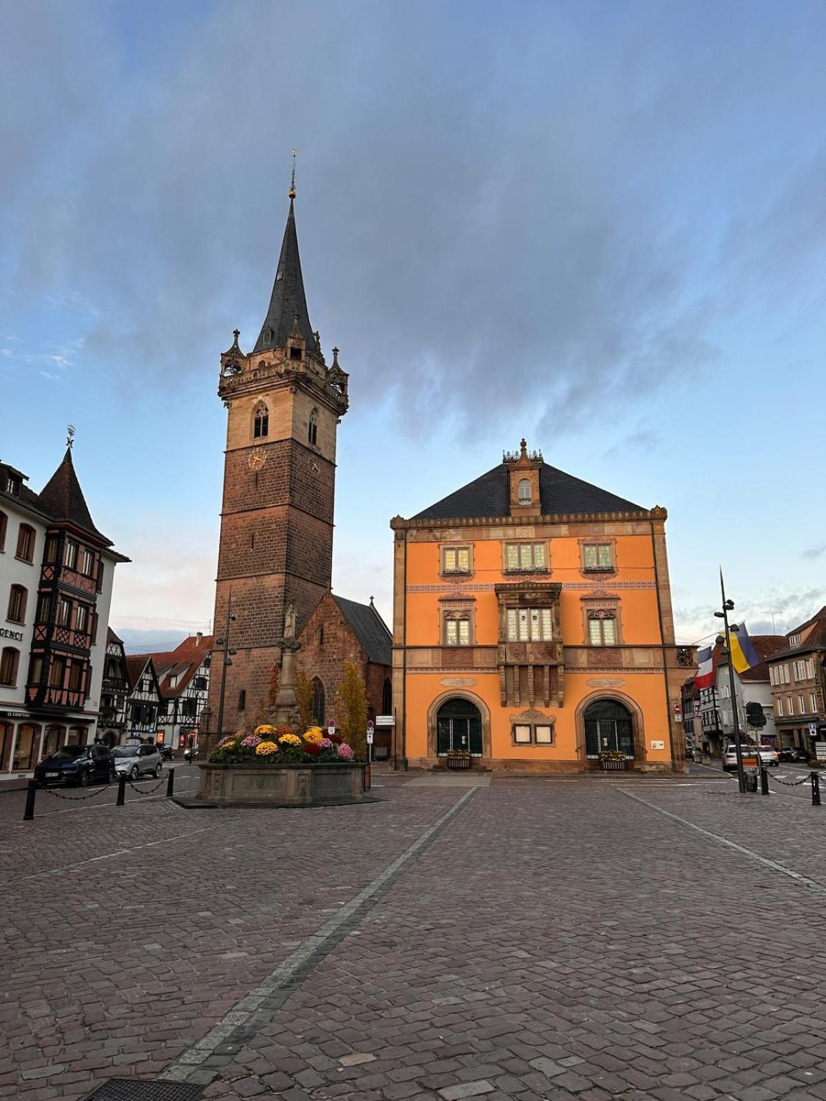 Le Nid Cosy D'Obernai /2Min Centre Ville/Parking Exterior photo